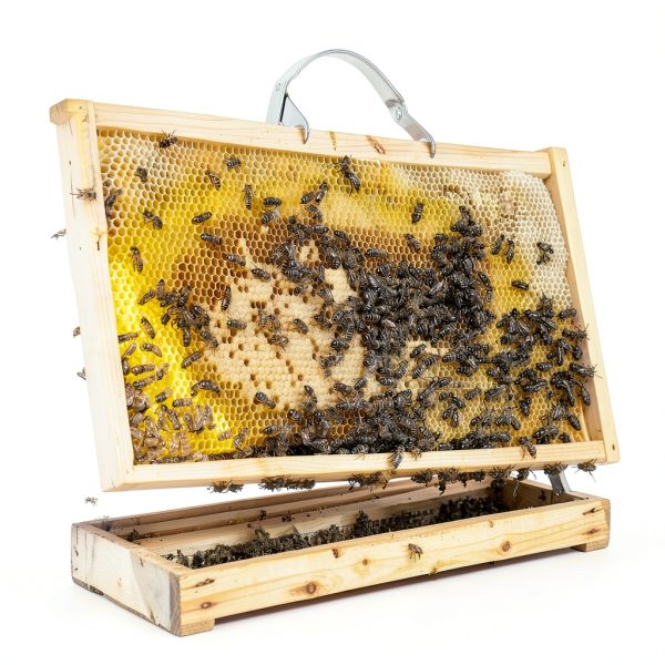 Beeswax Coated Beehive Sheets BEEINN 10pcs-4