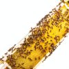 Beeswax Coated Beehive Sheets BEEINN 10pcs-3