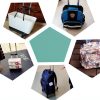 Aluminum Backpack Trolley for Kids School Bags-2
